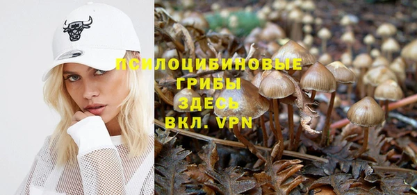 мяу мяу кристалл Алексин