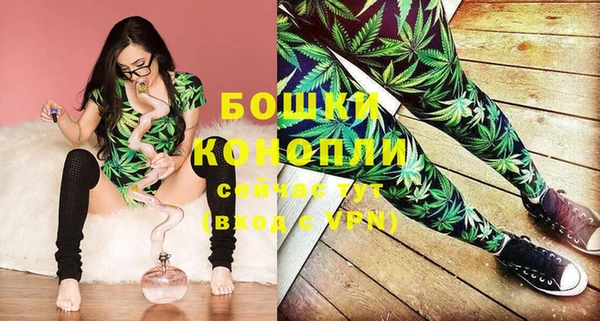 молекула духа Майский