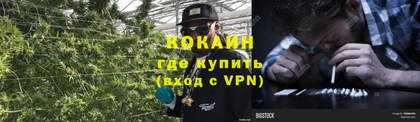 мяу мяу кристалл Алексин